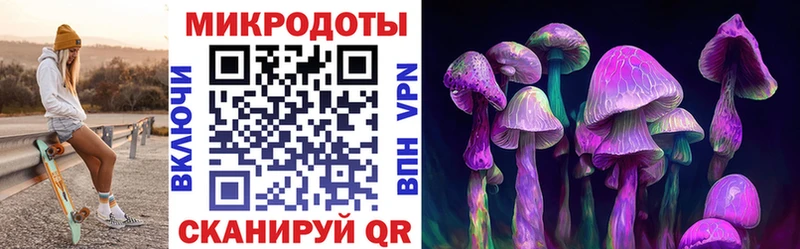 цена   Сортавала  Псилоцибиновые грибы мицелий 